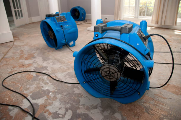Best Water damage restoration near me  in Ford City, PA