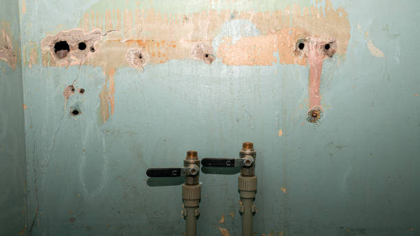 Best Professional water damage repair  in Ford City, PA