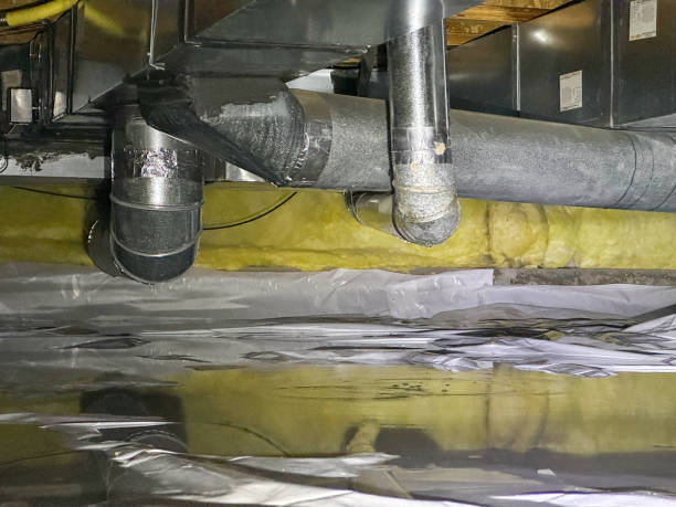 Best Basement water damage restoration  in Ford City, PA