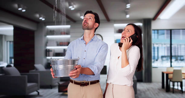 Best Water damage repair service  in Ford City, PA
