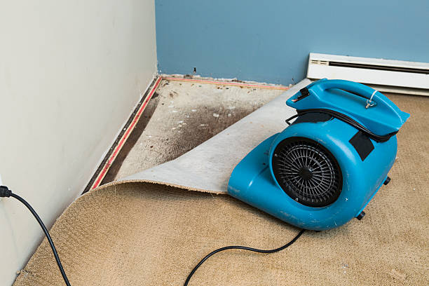 Best Residential water damage restoration  in Ford City, PA